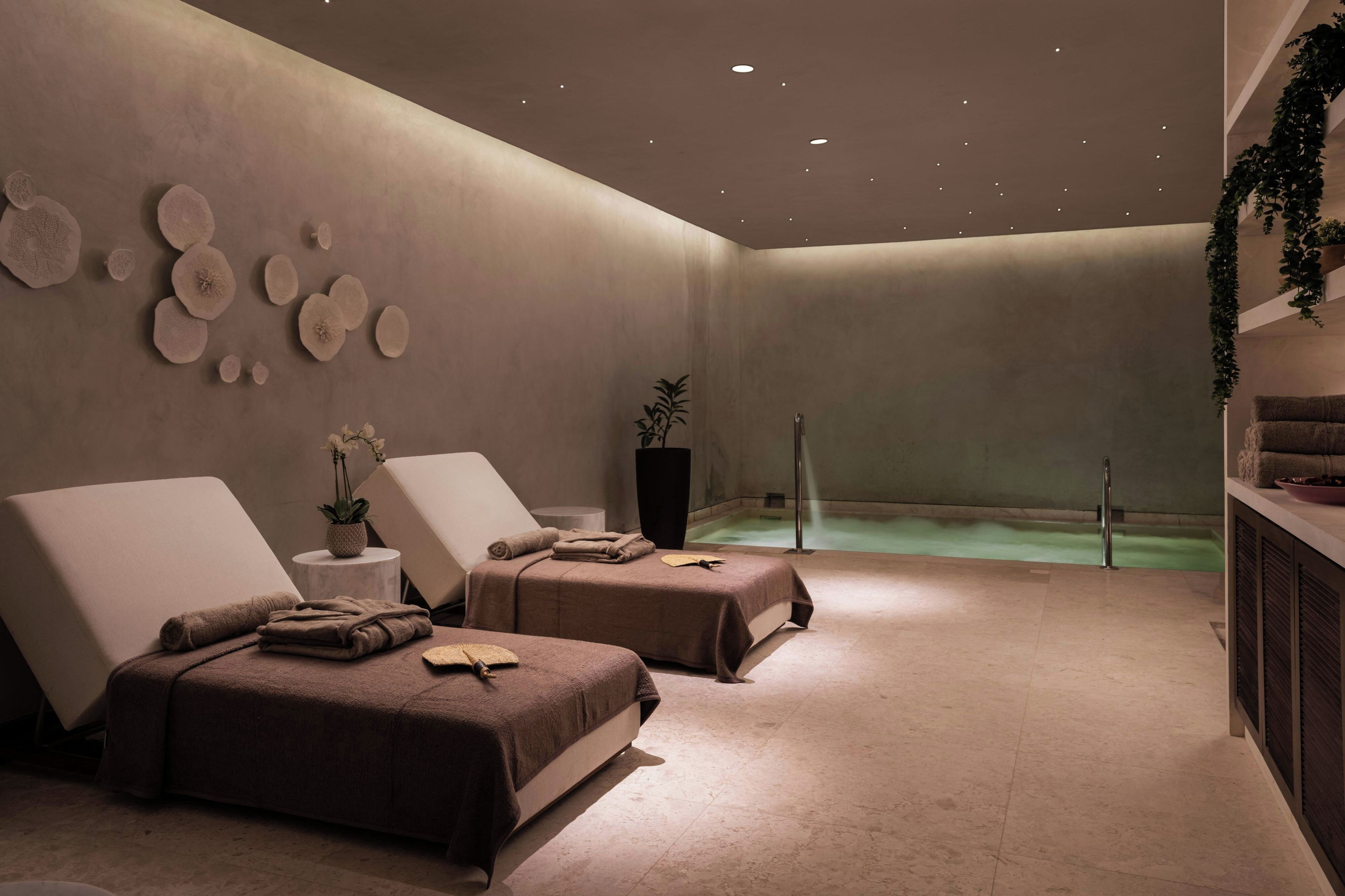 A spa room with two massage tables, a small plant, and a bathtub.