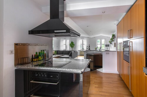 Penthouse maisonette apartment - Worms city center