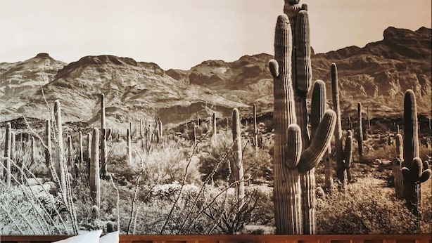 A bedroom with a desert-themed mural, a wooden headboard, and a bedside lamp. - La Vista Motel (Denver)