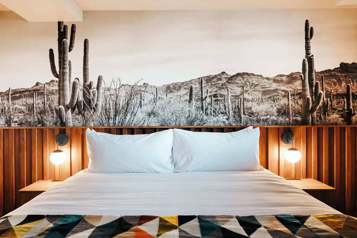 Habitación de hotel con una cama, un mural de cactus en la pared y dos lámparas fijadas a la pared.