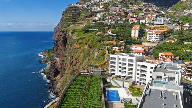 Un pueblo costero con viñedos en terrazas, edificios modernos y una vista despejada del océano.