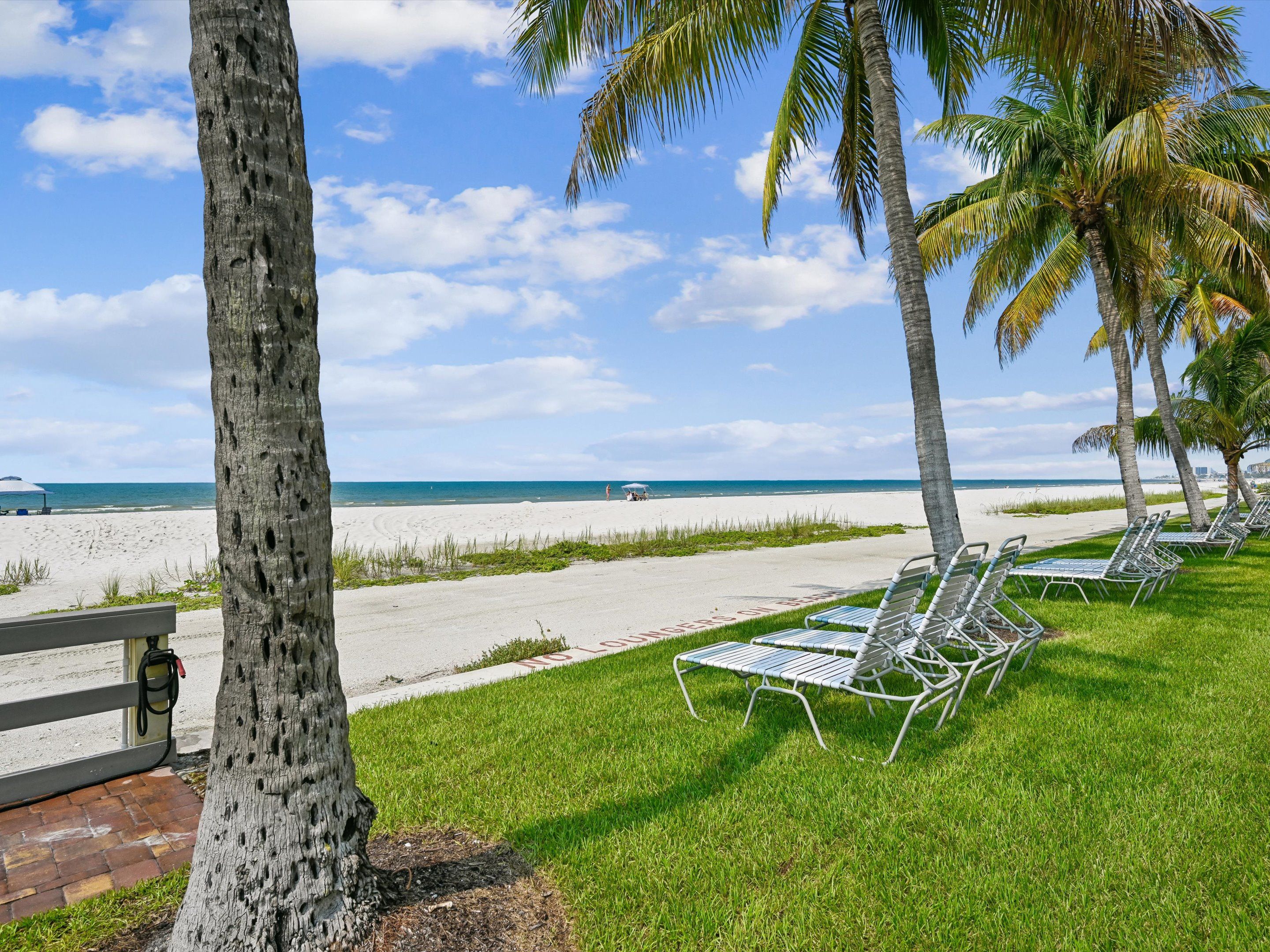 A beach scene with a row of metal lounge chairs, a palm tree, and a clear sky.