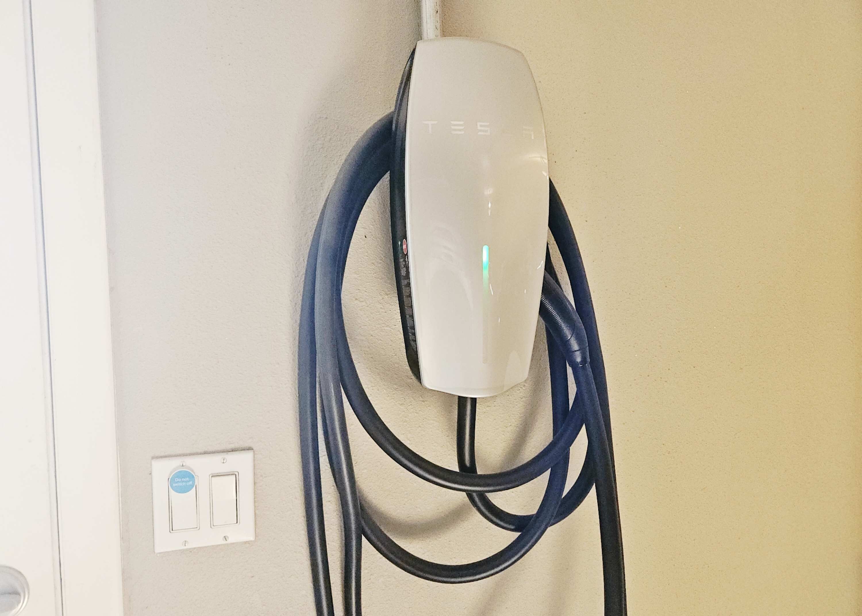 Une prise électrique murale avec une fiche blanche et un interrupteur bleu.