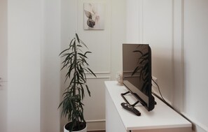 Ein Zimmer mit Blumentopf, einem Flachbildfernseher auf einem Standfuß und einem wandmontierten Spiegel.