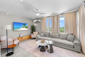 Smart TV, books, stereo - Gorgeous 3-bedroom Villa with AC, Pool/Hot Tub in Cooper Jack Bay Settlement (Cooper Jack Bay Settlement)
