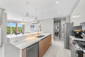A modern kitchen with a large island, stainless steel appliances, and a view of greenery outside. - Gorgeous 3-bedroom Villa with AC, Pool/Hot Tub in Cooper Jack Bay Settlement (Cooper Jack Bay Settlement)