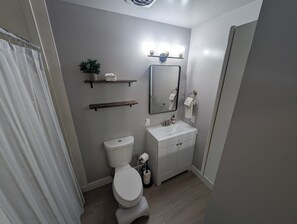 Regadera, secadora de cabello, bidet, toallas