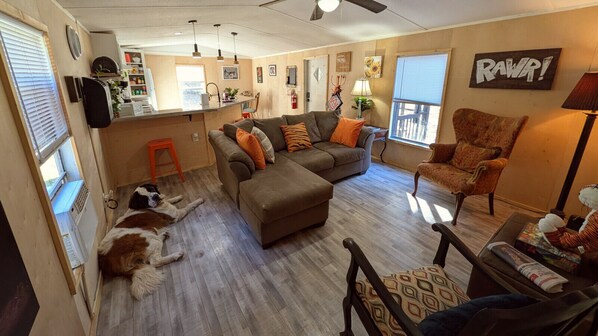 TV, fireplace, ping pong, offices