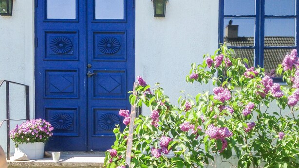 Eine blaue Tür mit verzierten Feldern, ein Blumentopf mit rosa Blüten und ein klarer Himmel.