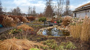 A garden with a pond, benches, and various plants. - Nice home in Jämshög with house a panoramic view (Jämshög)