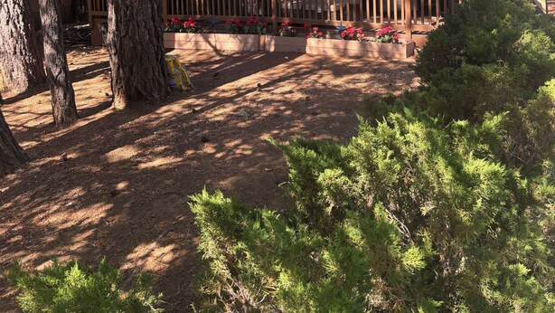 Eine Holzhütte mit einer Holzterrasse, einer amerikanischen Flagge und einer Veranda.