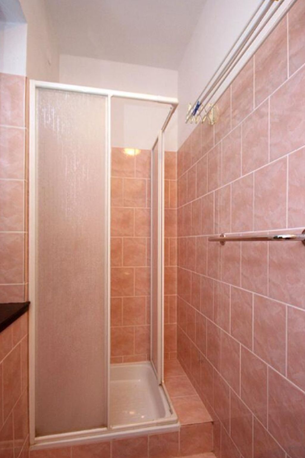 Ducha con puerta de vidrio, paredes de azulejo y barandilla de metal.