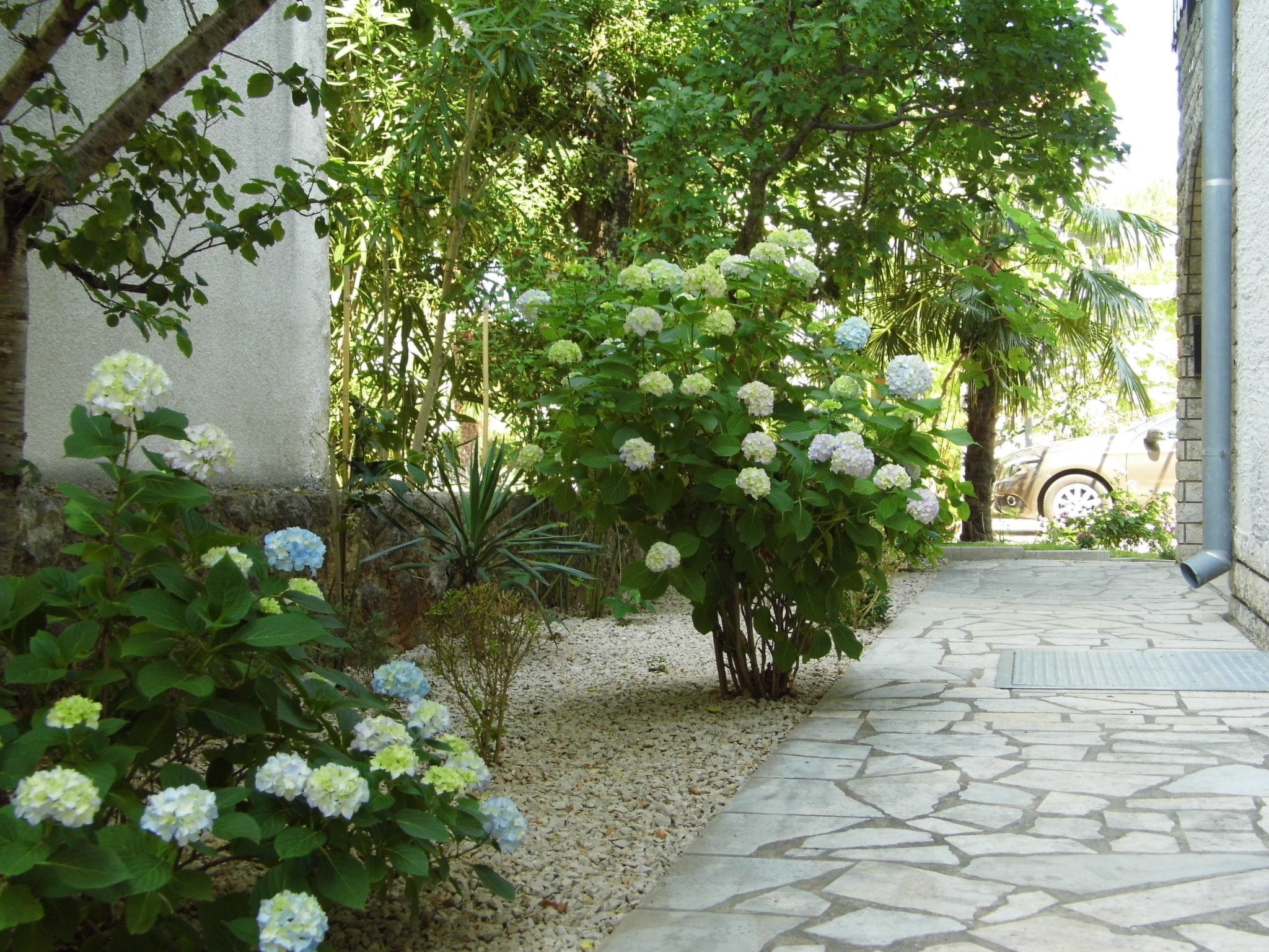 Overnattingsstedets uteområder