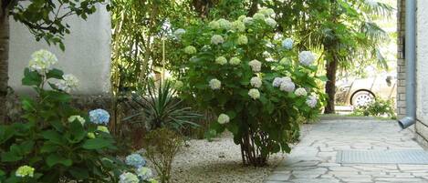 Overnattingsstedets uteområder