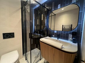 Regadera, amenidades de baño gratuitas, secadora de cabello, toallas 