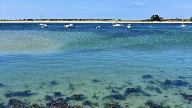 A beach with clear water, boats, and a distant shoreline. - Étel – 3-room house – 110 m² – WiFi - 3* (ETEL)