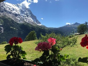 Property grounds - Beim Faulensee 2-Bett Wohnung  1. Stock  West by Interhome (Grindelwald)