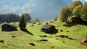 Unclassified image, 5 of 23, button - Chalet Bachsbort 14 by Interhome (Grindelwald)
