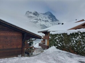 Exterior - Studio Babice by Interhome (Grindelwald)