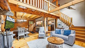 TV, fireplace, books