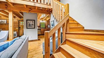 TV, fireplace, books