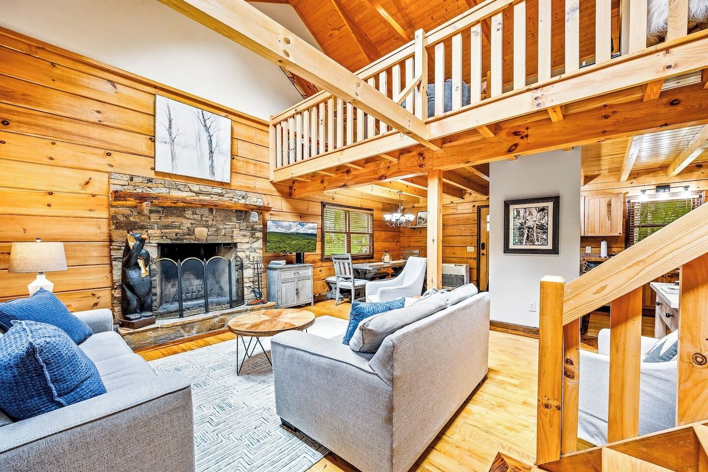 Televisión, chimenea y libros 