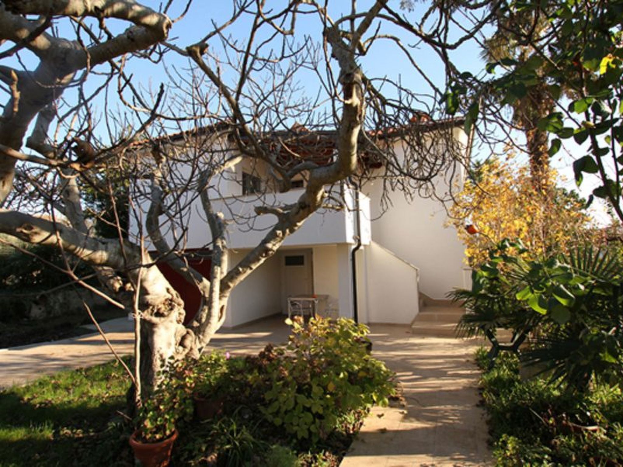 A house with a garden path leading to the entrance.