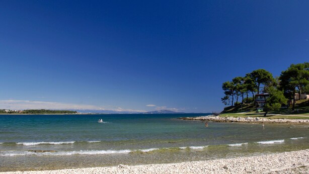 A beach with clear water, pebbles, and trees. - direkt am Strand by Interhome (Medulin)