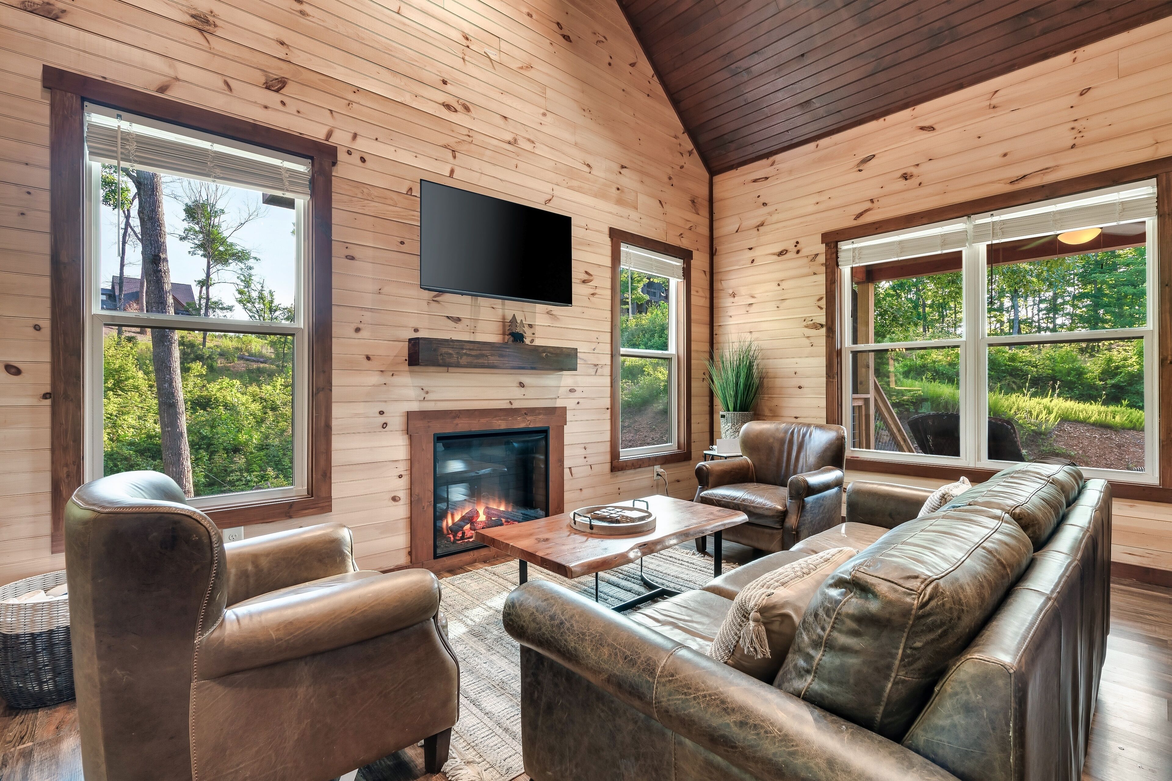 Télévision, cheminée