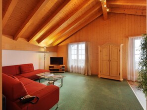 Fernseher