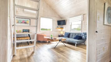 Smart TV, DVD player, livros