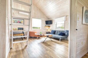 TV connectée, lecteur de DVD, livres