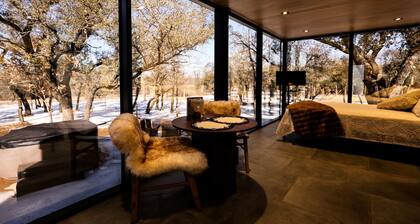 Reflections-Mirror House-Where Luxury Meets Nature