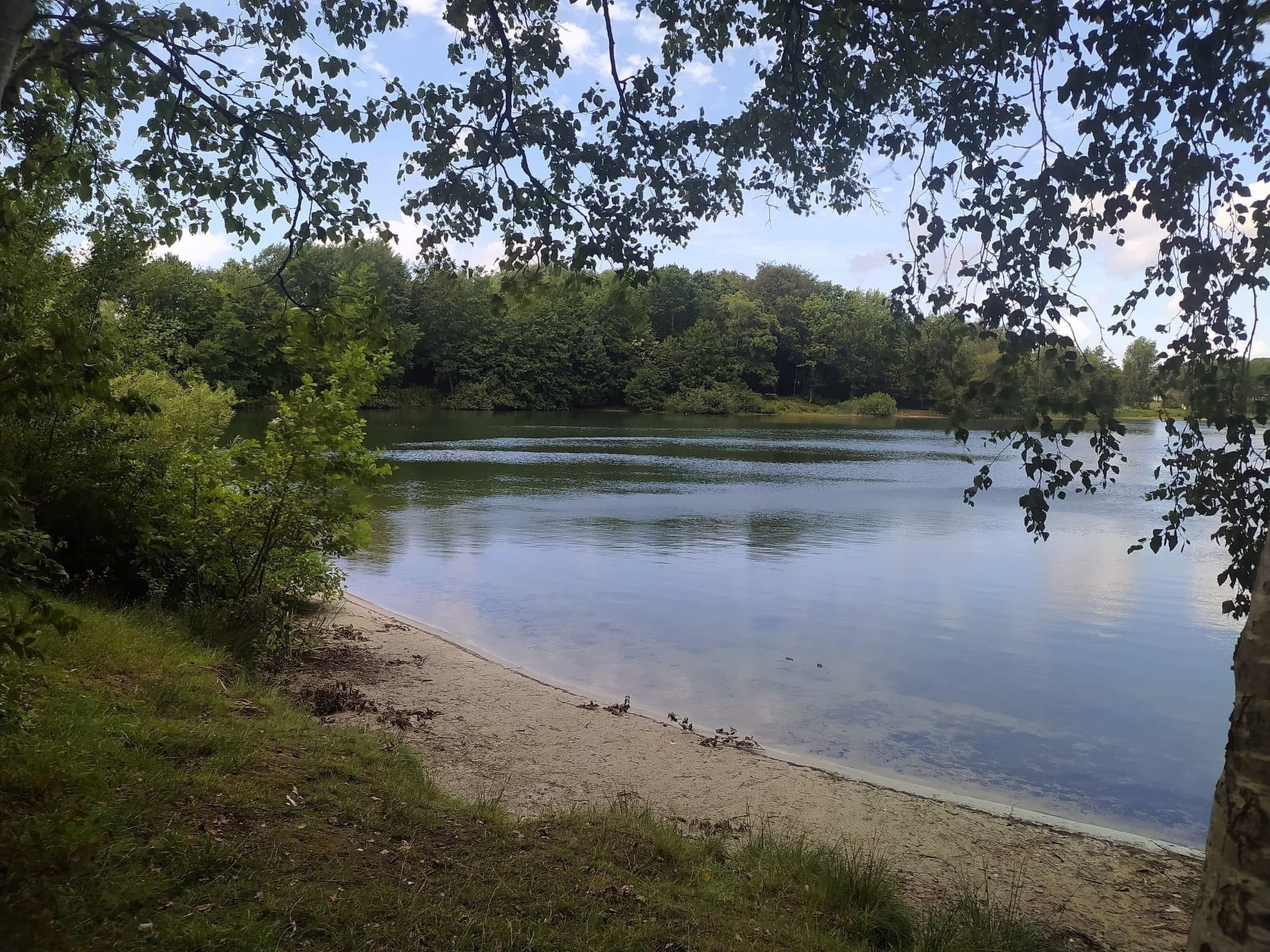 A calm lake surrounded by dense greenery and a sandy beach.