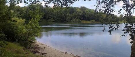 A calm lake surrounded by dense greenery and a sandy beach.