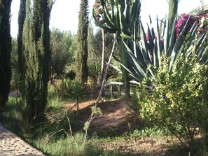 Terrein van de accommodatie