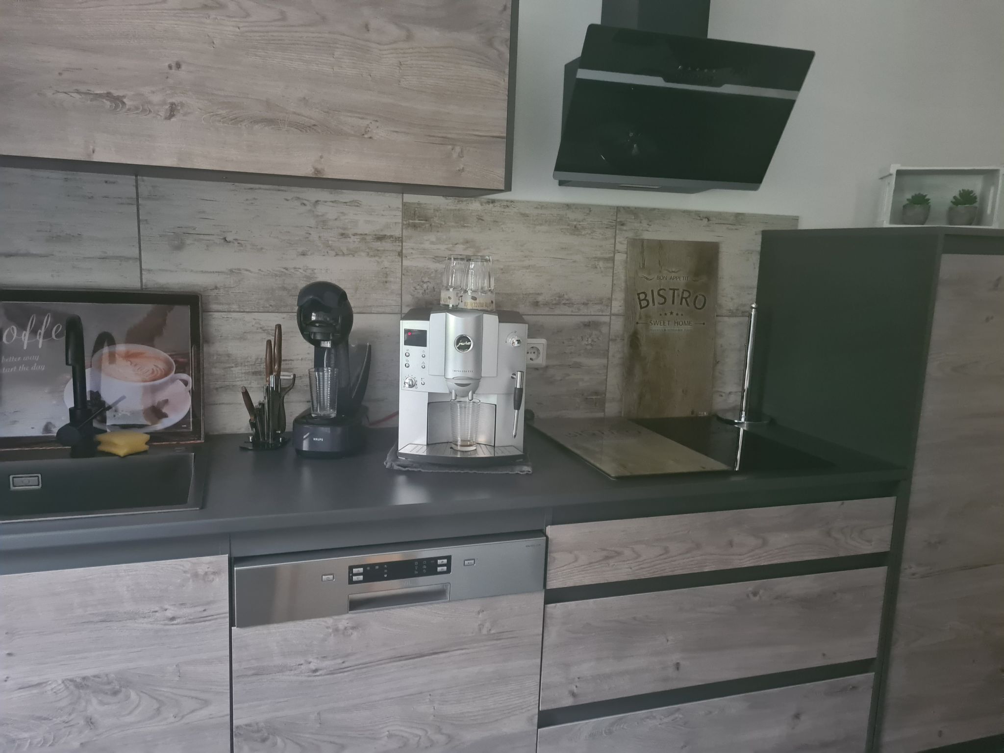 Kühlschrank, Ofen, Geschirrspüler, Kochgeschirr/Geschirr/Besteck