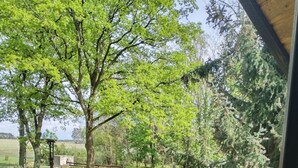 Une vue depuis un balcon doté d’une balustrade en bois, donnant sur une zone herbeuse avec des arbres et une petite construction.