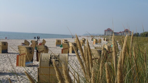 Uma praia com fileiras de cadeiras de vime e guarda-sóis, céu claro e um edifício ao fundo.