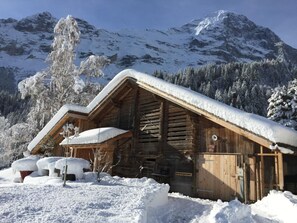 Exterior - Eigerhome - The Cottage mit Wellness by Interhome (Grindelwald)