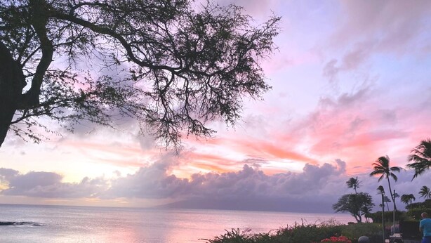 A coastal scene with a sunset, palm trees, and a body of water. - Napili Point | Oceanfront 2 BR, Sleeps 8 | Car Incl. w/ 6+ Nights | NAP ML-3494 by KBM (Lahaina)