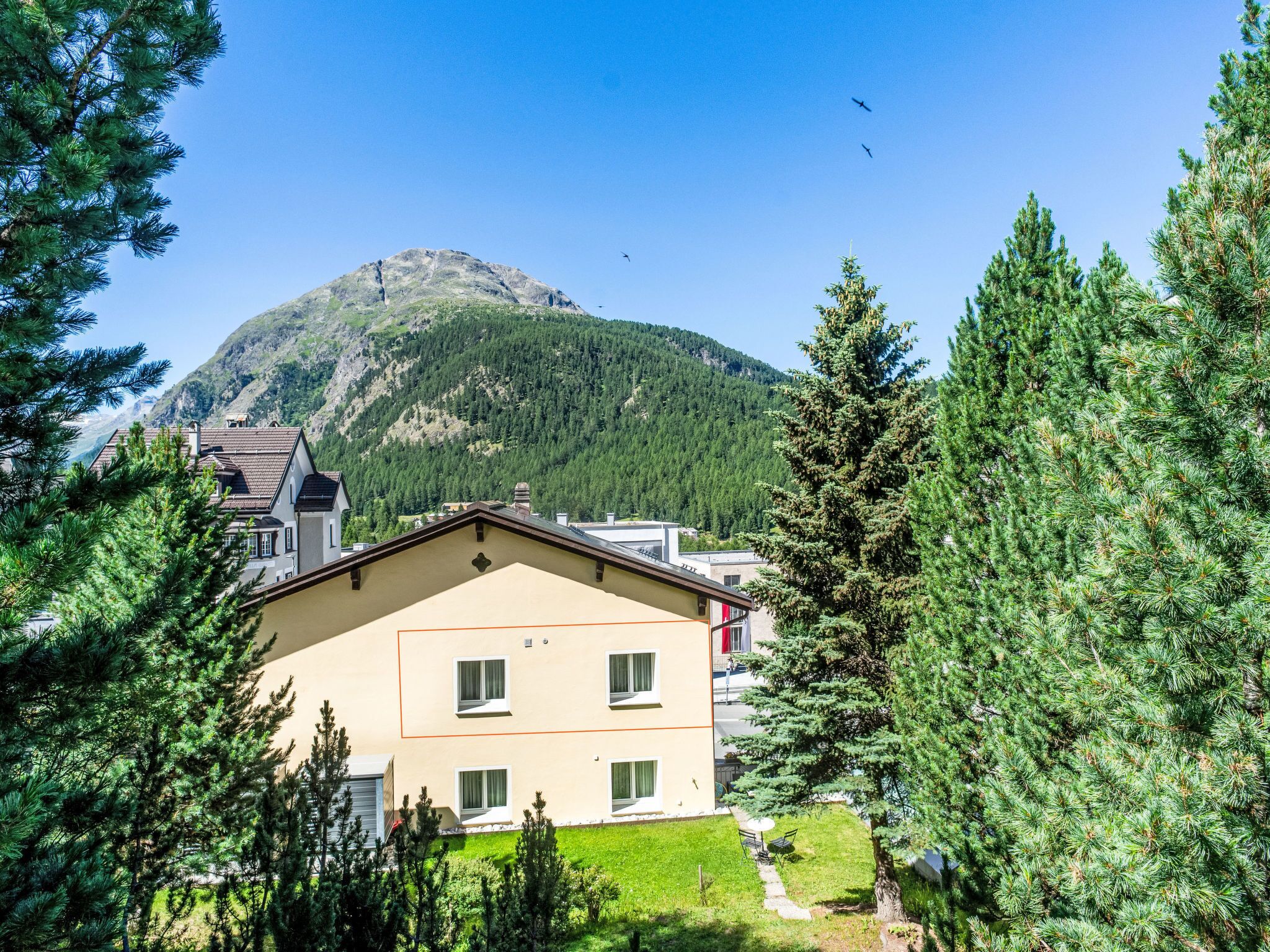 A building with a sloped roof, surrounded by evergreen trees, and a mountain in the background.