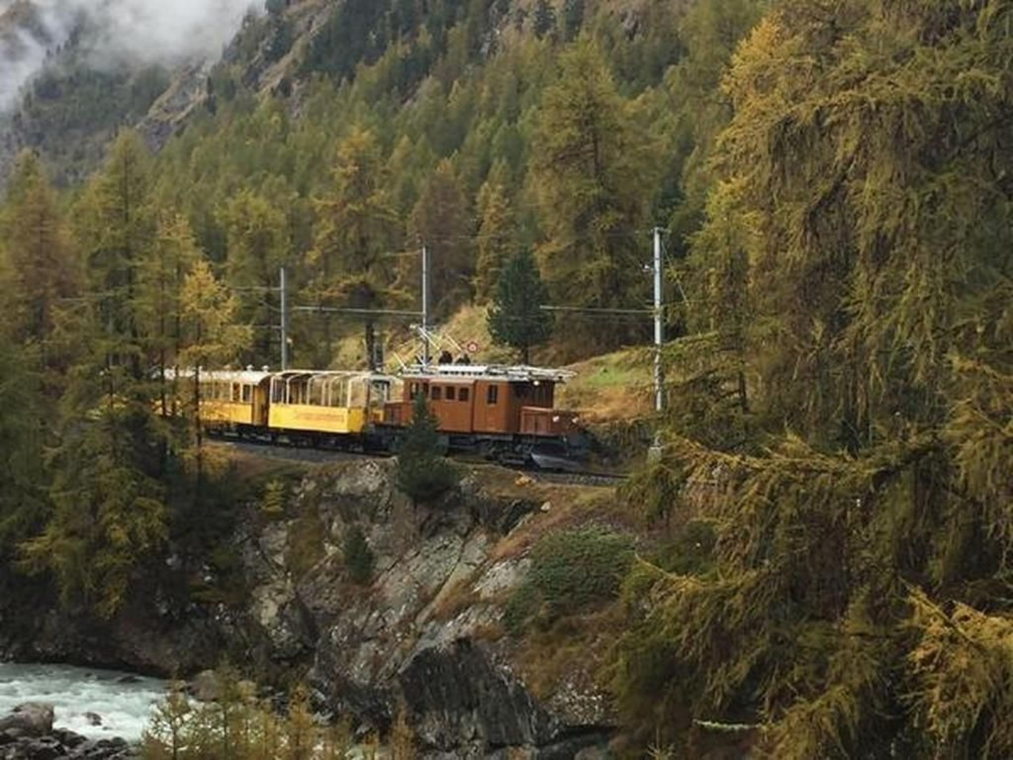 Un tren avanza por una zona boscosa con un río a su base.