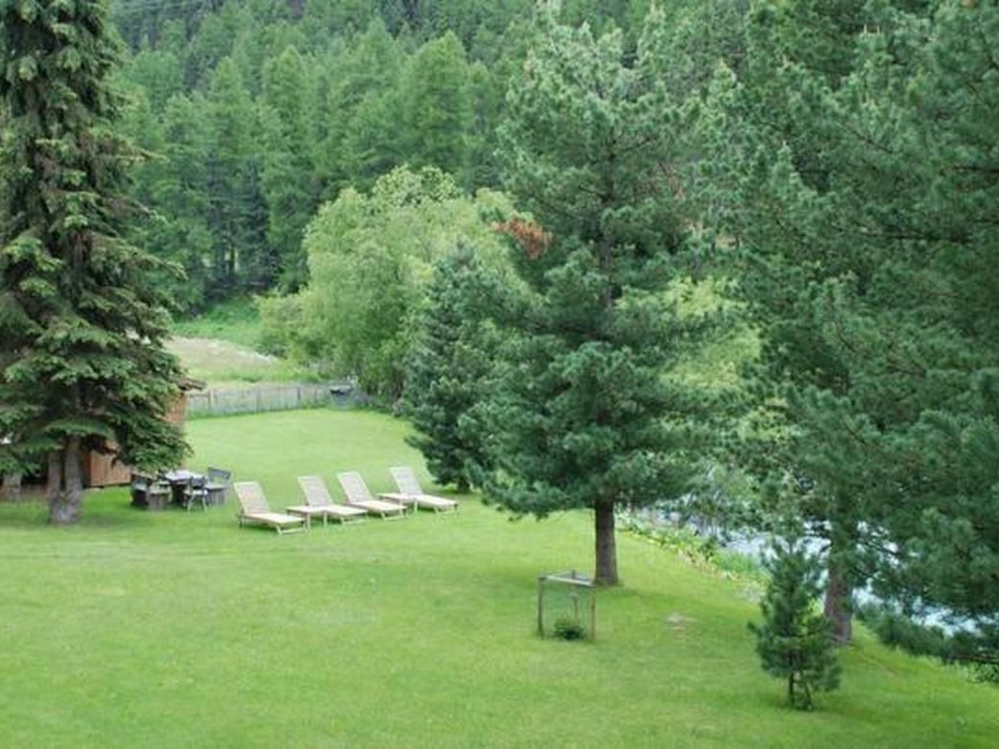 A grassy outdoor area with several lounge chairs and a small table, surrounded by dense trees and a body of water.