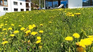 Un bâtiment doté d’un balcon donnant sur un champ de fleurs jaunes.