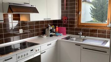 Fridge, oven, dishwasher, cookware/dishes/utensils