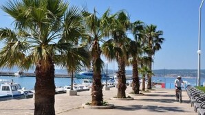 Un porto turistico con barche, palme e un ciclista su una strada asfaltata.