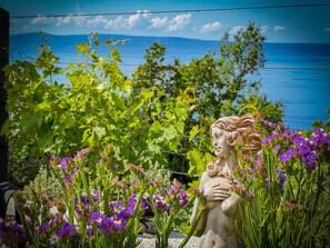 Exterior detail - Villa Kety mit Pool by Interhome (Makarska)