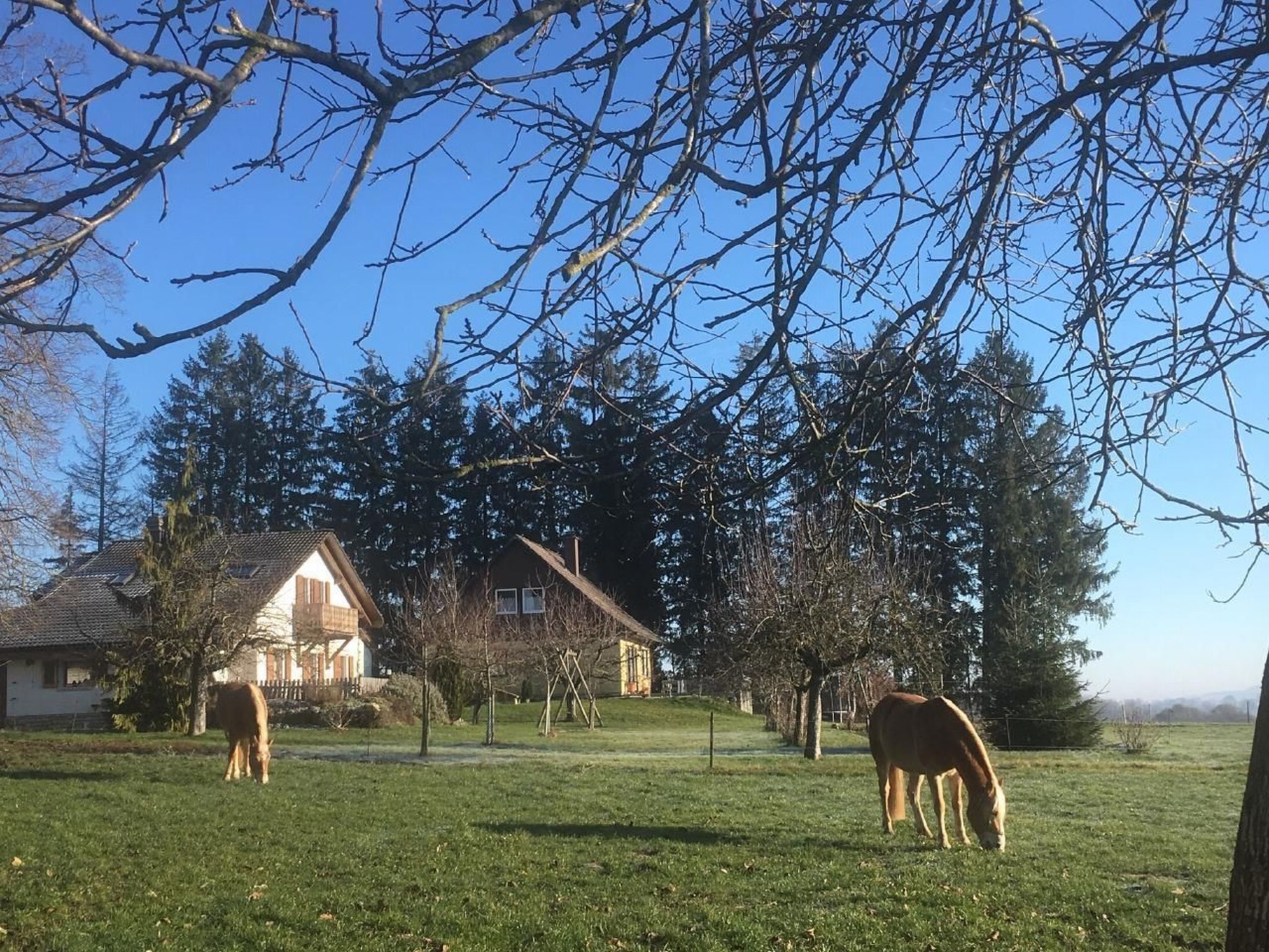 Ett lantligt landskap med ett hus, en gräsklädd åker och två hästar som betar.