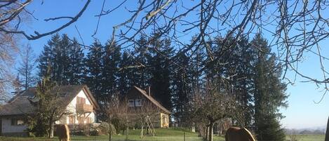Un paysage rural avec une maison, un champ d’herbe et deux chevaux qui paissent.